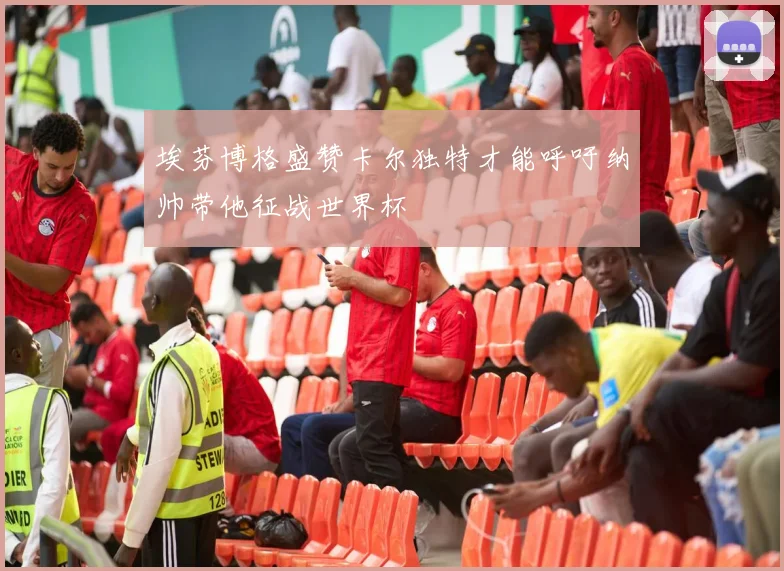 埃芬博格盛赞卡尔独特才能呼吁纳帅带他征战世界杯