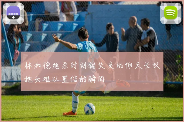 林加德绝杀时刻错失良机仰天长叹抱头难以置信的瞬间