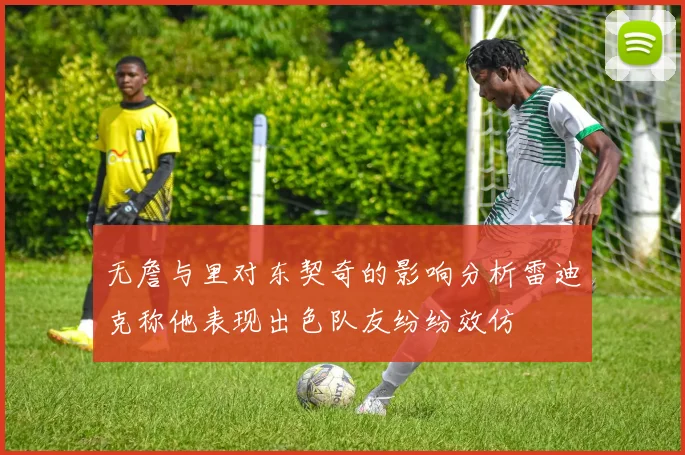 无詹与里对东契奇的影响分析雷迪克称他表现出色队友纷纷效仿