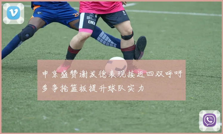 申京盛赞谢泼德表现接近四双呼吁多争抢篮板提升球队实力